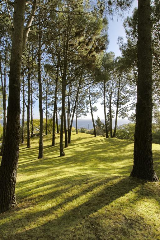 Hotel Del Lago Golf & Art Resort Punta del Este Exterior photo